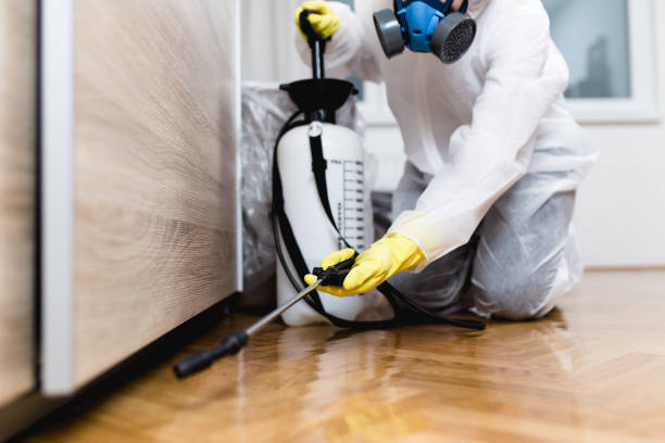 Best Pest Control Treatment  in Toronto, OH