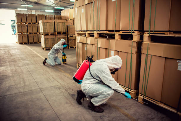 Best Best Pest Control Companies  in Toronto, OH