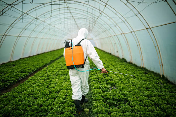 Best Commercial Pest Control Services  in Toronto, OH
