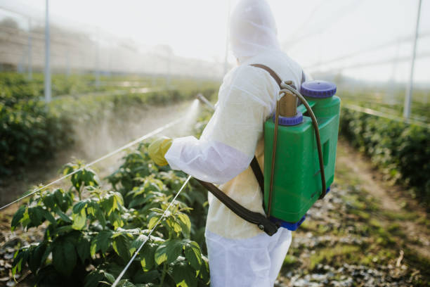 Best Wasp Removal Services  in Toronto, OH